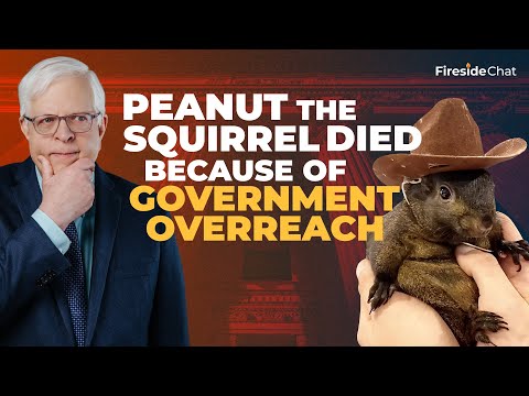 Peanut the Squirrel Died Because of Government Overreach | Fireside Chat | PragerU