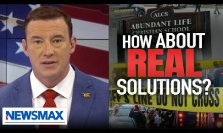 Carl Higbie: ‘Serious problems require serious solutions’ and gun control isn’t it