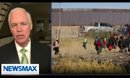 HHS knows exactly what is happening with border kids: Johnson | The Record with Greta Van Susteren