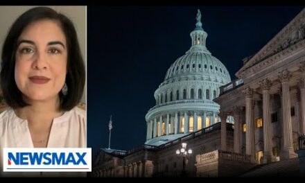 Deal was ‘best case scenario’ in situation we were in: Rep. Nicole Malliotakis | America Right Now