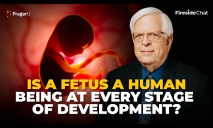 Is a Fetus a Human Being? | Fireside Chat | PragerU