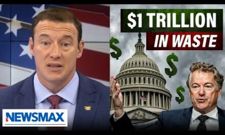 Carl Higbie: The government ‘lights money on fire’