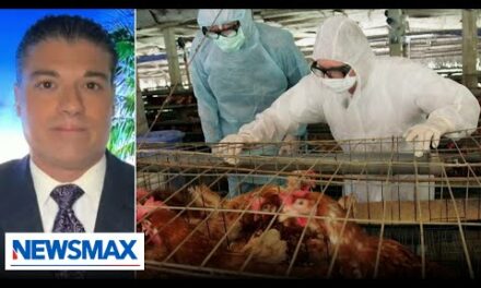 Some concerning signals with bird flu: Dr. Frank Contacessa | Wake Up America