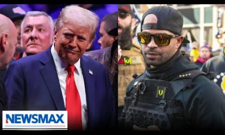 Former Proud Boys leader seeks Trump pardon, fighting back against J6 charges | National Report