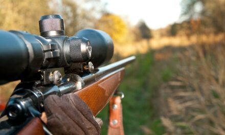 Louisiana hunter cited for violations after shooting man he mistook for a deer