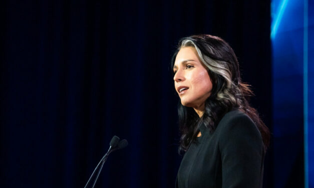 Border Patrol Union Endorses Tulsi Gabbard for Director of National Intelligence Position