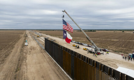 Texas Stands Ready to Buy Border Wall Panels up for Auction and Return Them to Trump