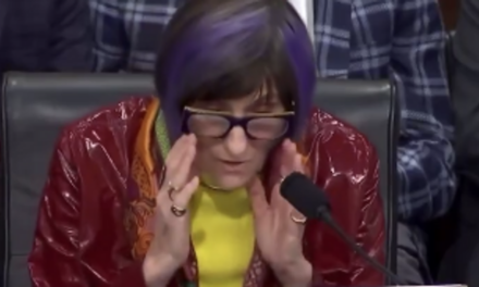 Watch: Purple-haired Democrat demands MORE “road equity” via… female crash test dummies?