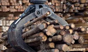 Quebec Forest Industry Already Under Pressure Amid Trump Tariff Threat: Legault