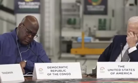 Watch: Biden Falls Asleep (Again, This Time in the Middle of an African Summit