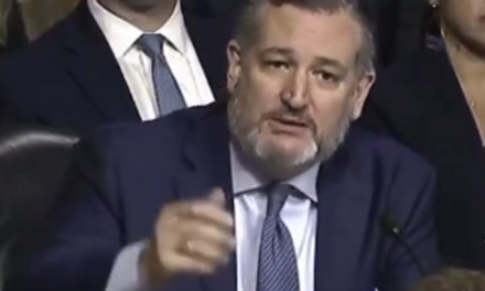 Ted Cruz Demolishes Witness With Basic Logic: “Why do women’s sports exist?”