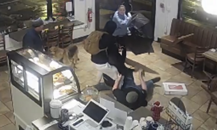 Watch: San Francisco barista gets fed up, takes down robber while waiting for cops to show up