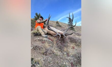 Hunters Kill Massive Elk, Photos Are Insane