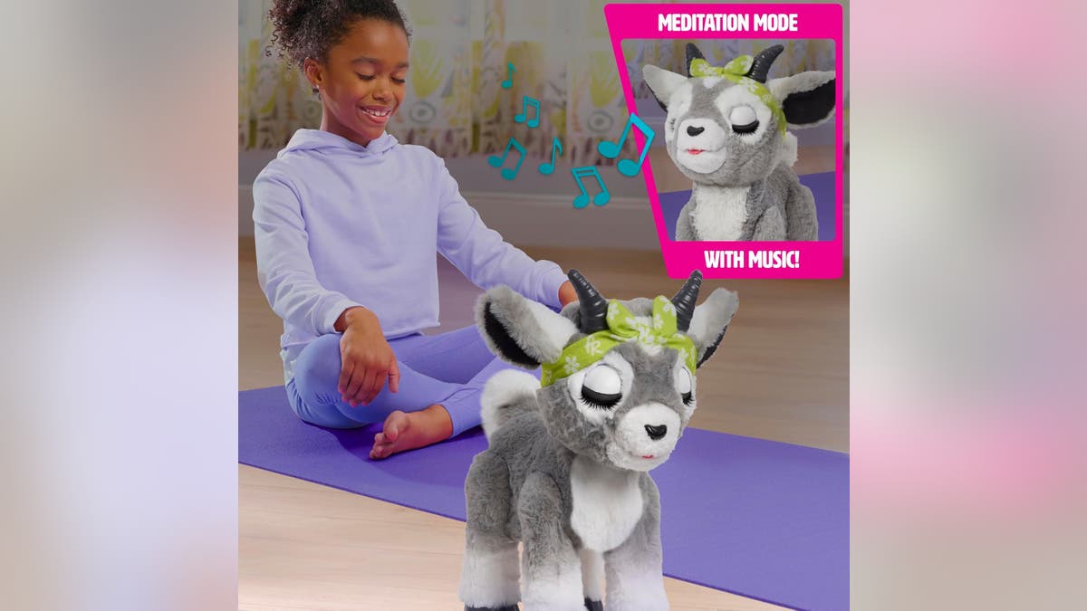 This donkey does yoga moves and helps your child meditate.