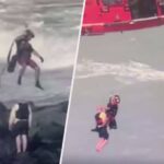 Missing Florida jet skier found clinging to rocks off St. Lucie Inlet in dramatic rescue: video