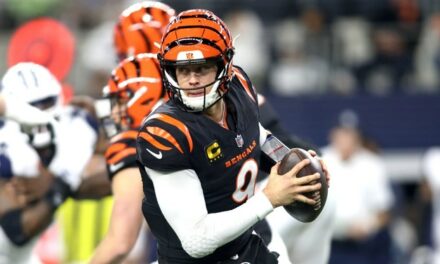 Bengals QB Joe Burrow Latest NFLer To Have His Home Broken Into During A Game