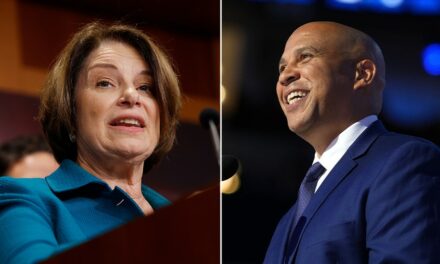 Senate Democrats name top leadership positions after losing chamber majority