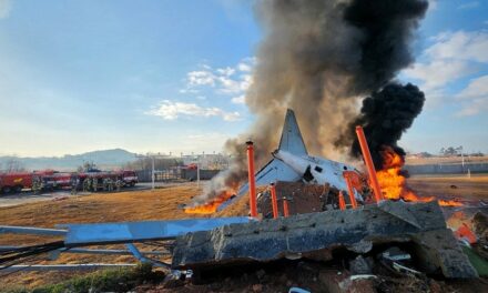 Plane veers off airport runway in South Korea and crashes, killing at least 23: report