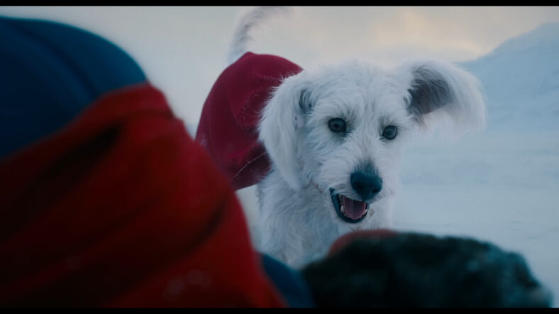 Krypto comes to the aid of Superman (David Corenswet) in Superman (2025), DC Studios