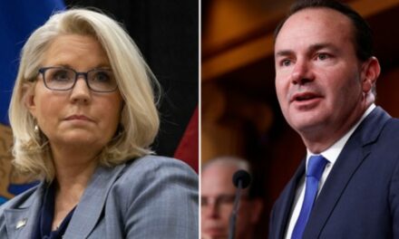 Based Senator Mike Lee Dunks All Over Warmongering RINO Liz Cheney With One of Her Old X Posts as Her Previous Tacky Words on J6 and Lee Come Back to Haunt Her