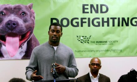 PETA comments on Michael Vick hiring by Norfolk State Football team: ‘Charming, charismatic psychopath’