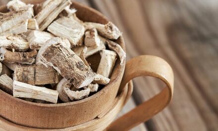 Health benefits of ancient herbal remedy marshmallow root