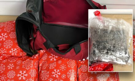 Woman arrested for attempting to smuggle 22 pounds of meth wrapped as Christmas gifts in carry-on bag