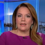 Mollie Hemingway Slams ‘Corrupt’ Propaganda Media, Says Trump is Showing Republicans How to Lead (VIDEO)