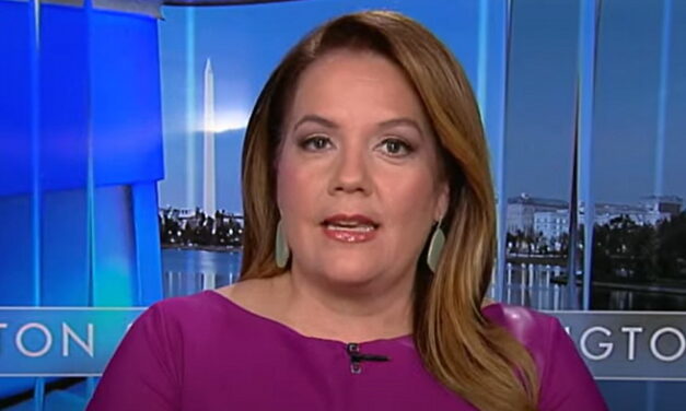 Mollie Hemingway Slams ‘Corrupt’ Propaganda Media, Says Trump is Showing Republicans How to Lead (VIDEO)