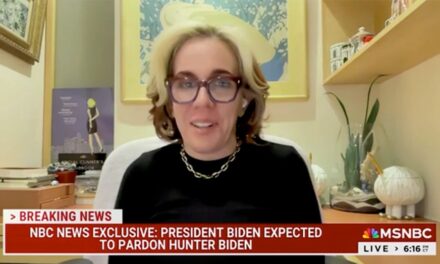 Liberal MSNBC contributor speechless over Hunter Biden pardon: ‘I have to process it … I’m sorry’