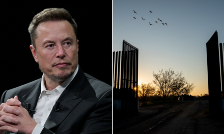 DOGE chief Musk bashes massive government spending on illegal immigrants: ‘Boggles the mind!’