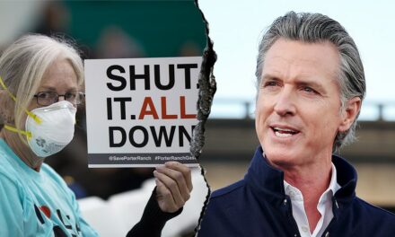 Environmental group launches six-figure battleground state ad buy against Newsom’s ‘climate leadership’