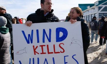 Supreme Court may consider challenge to Nantucket offshore wind project opponents say harms whales