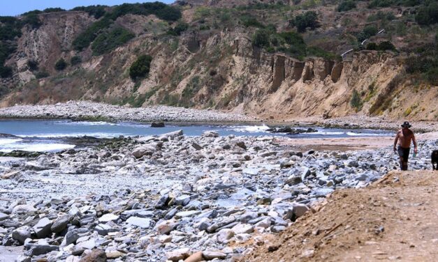 Los Angeles-area authorities investigating human legs found on shoreline