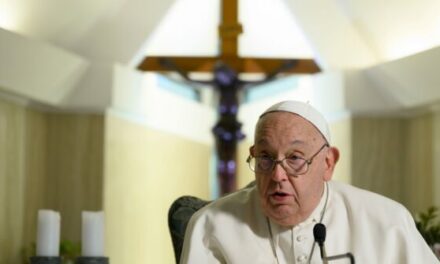 Pope Francis Decries ‘Environmental Decay’ in Peace Message