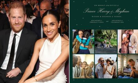 Meghan Markle, Prince Harry give rare glimpse of kids in 2024 holiday card