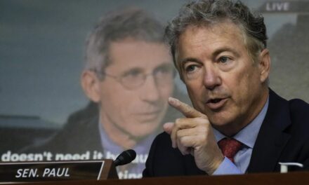 Rand Paul roasts ruling class in annual ‘Festivus Report’