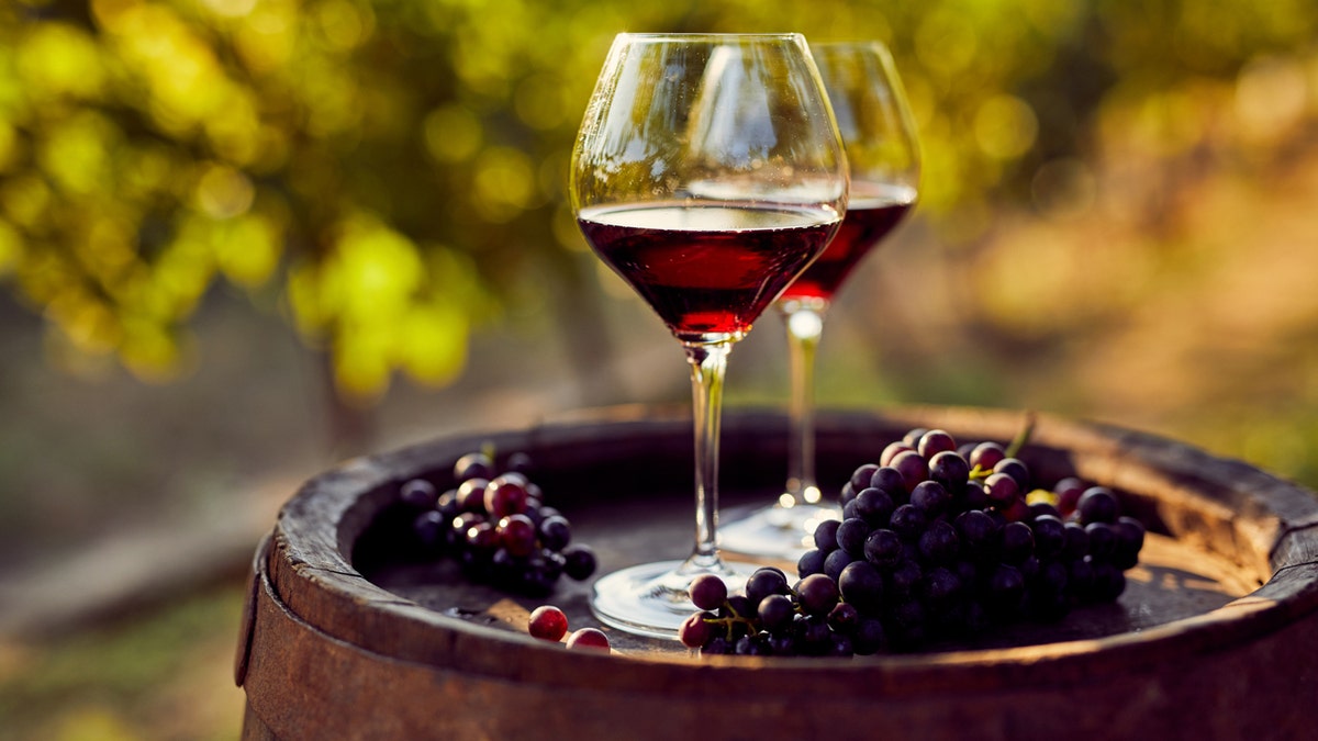 Two glasses of red wine rest on a barrel next to grapes.