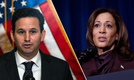 Democratic lawmaker hits Kamala Harris, Dems for using ‘weird,’ unfamiliar language after election loss