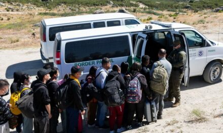 School district, Mexican Consulate partner up to help illegal aliens deal with ICE — cancel meeting after backlash