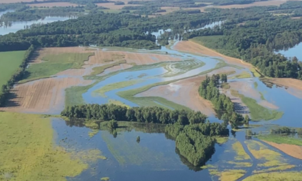 When the Government Flooded America’s Breadbasket and Walked Away