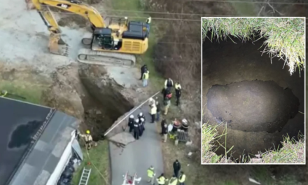 Missing grandma believed to have fallen in sinkhole while searching for lost cat: ‘Never came back’