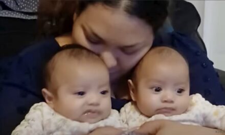 ICE Deports Mother and Four Children, Including U.S. Citizen Newborn Twins, to Mexico