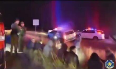 Biden Border Chaos-Texas DPS Arrest Smuggler with 10 Illegal Aliens in Vehicle After High-Speed Chase (VIDEO)