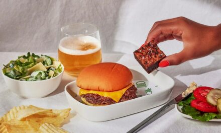 First-class Delta passenger tries newly launched Shake Shack meal served on flight, social media users react