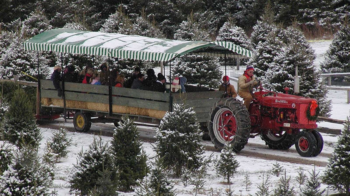 Stokoe Farms