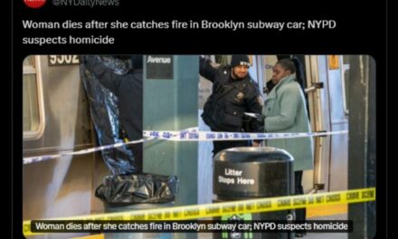 Nolte: NY Daily News Lies About Subway Murder Victim ‘Catching Fire’