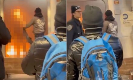 GRAPHIC: New Footage Shows Illegal Alien Fanning Flames as Woman Burned Alive on Subway — NYPD Officer Walks Past Without Intervening