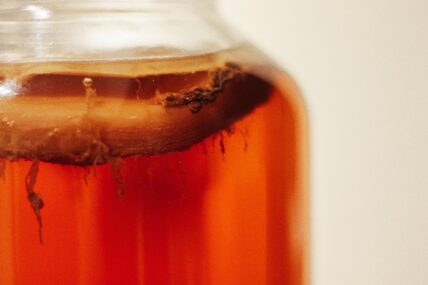 7 Kombucha Health Benefits: Does It Really Transform Your Gut?