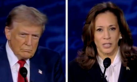 President Trump Astutely Reveals the Biggest Mistake Kamala Harris Made During Her Campaign for the White House